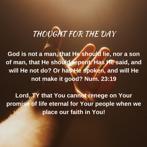 TWEET 07-30-24