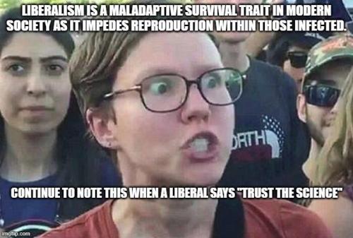 Fact