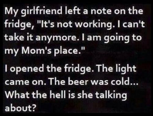 Fridge - What's she talking about
