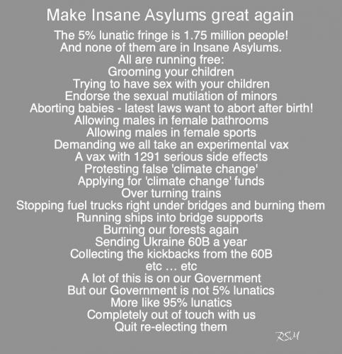 insane asylums
