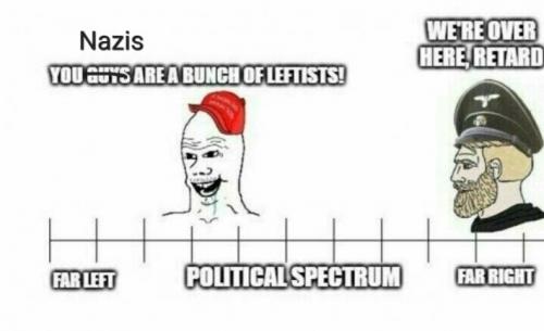 nazis left