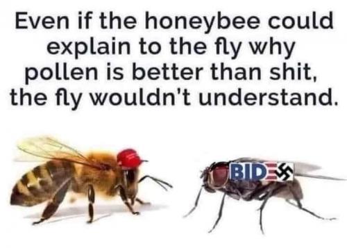 450317412_10161316051946233_2771876641098043233_n