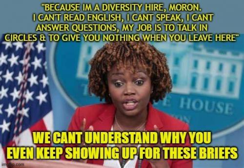 diversity hire