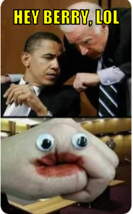 hblol