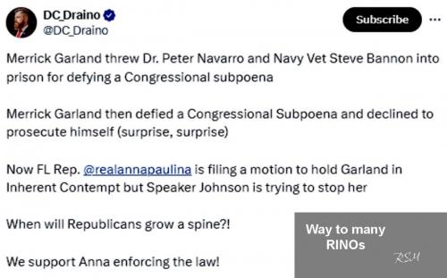 to many RINOs 23
