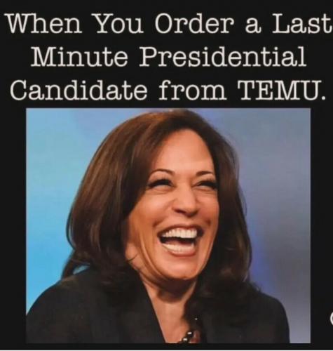 temu