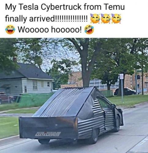 temu2