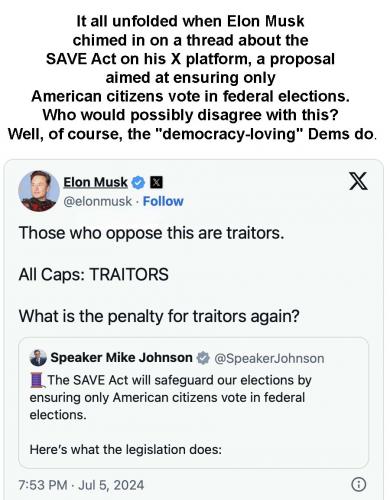 Musk on traitor dems