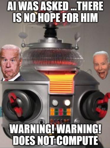 BIDENAIQUESTION