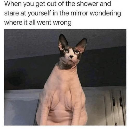 ggasdfasdf