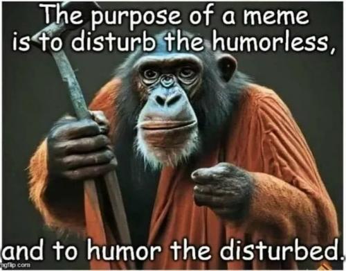 071124 - Purpose of memes