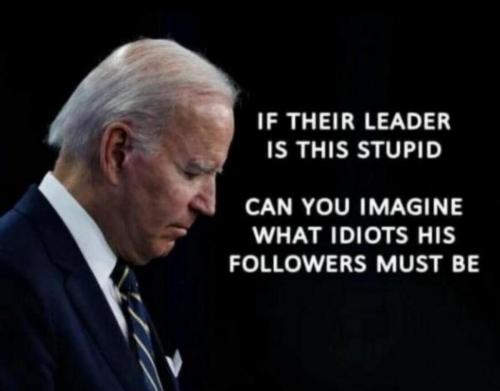 idiots