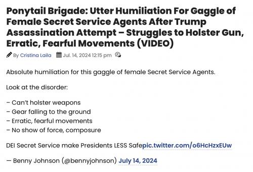 ponytail brigade