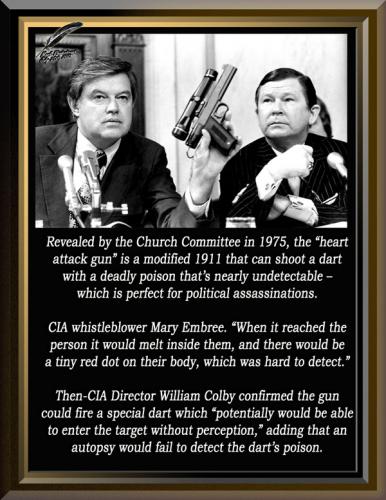 CIA's ~Heart Attack Gun~