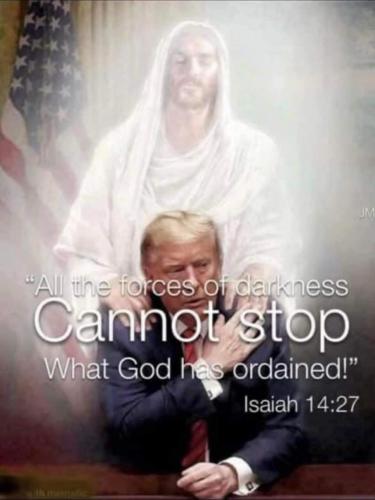 1000017491