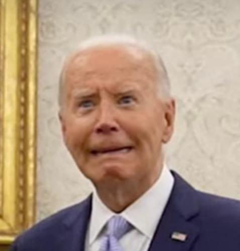 450599641_801393522156253_5541806354560519563_n