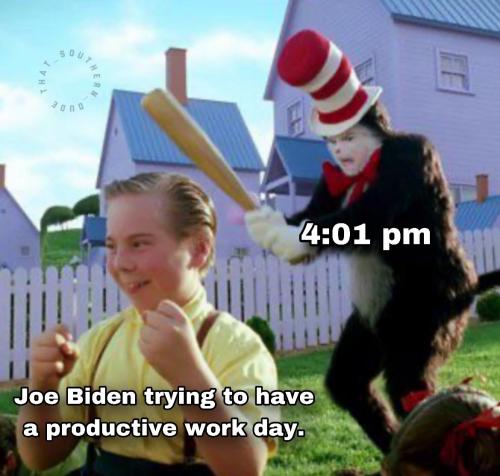 1000026242