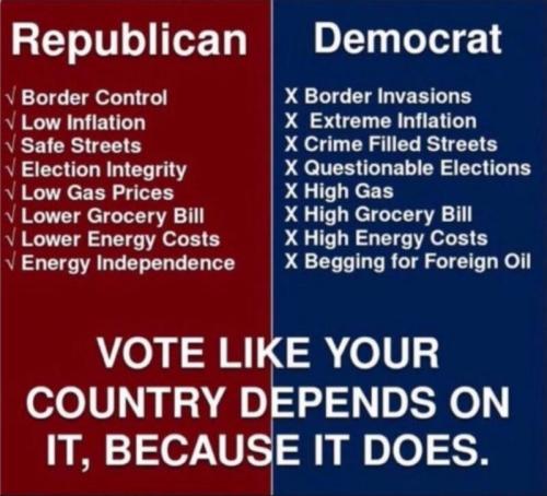 vote