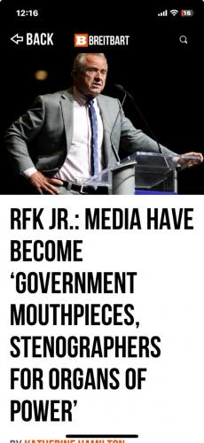 fake media