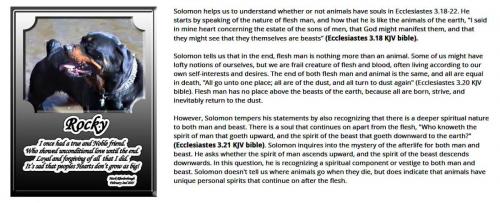Animals are Trichotomous 2
