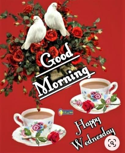082124 - GM Doves & coffee