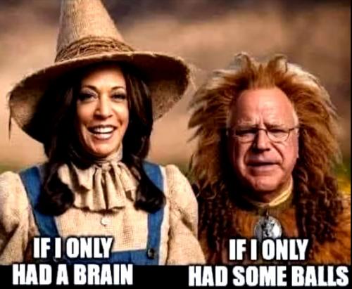 No Brains or Balls