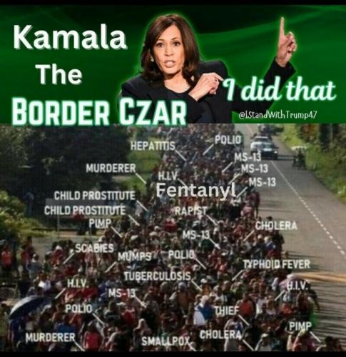 Democrat, Illegal Immigration, Invasion, Kamala Harris -- The Border Czar  'I Did That'