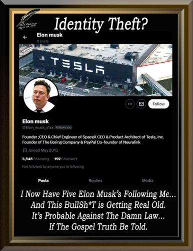 Elon Musk's Identity Theft