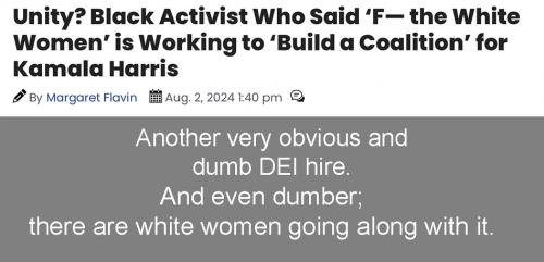 DEI 31