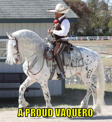 apv