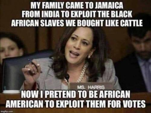 Kamala Harris, India -- Owned 120 slaves2