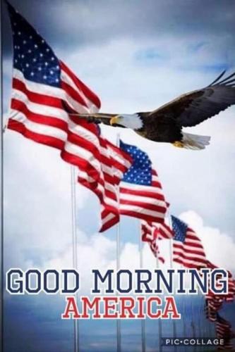 Eagle,flag good morn