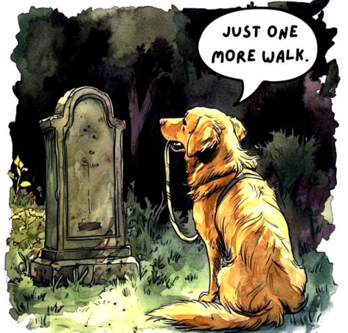 Just One More Walk