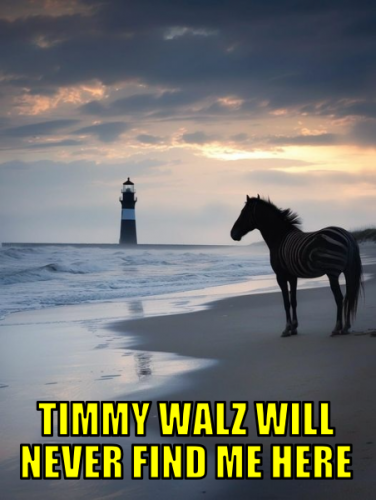 twwnfmh