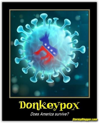 DonkeypoxBlog3