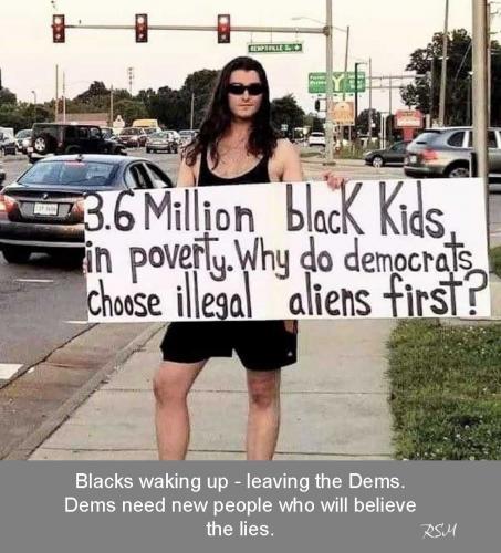 Dem Illegal 11