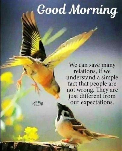 082024 - Save relationships