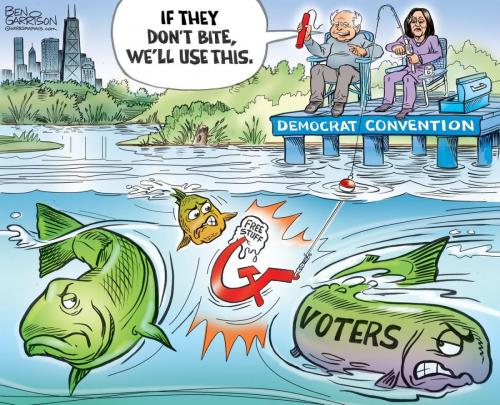 DemocratConventionLiberalPlanExposed