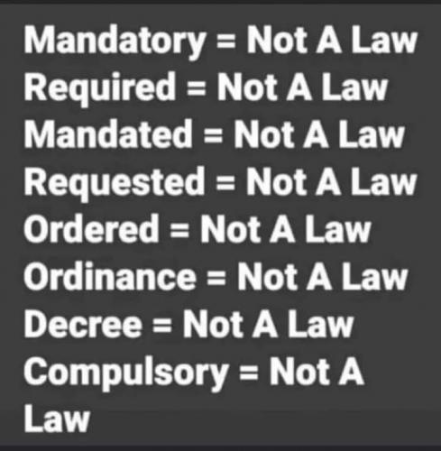 FB_IMG_1724603379624