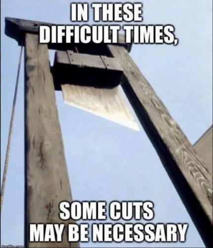 IN THESE TIMES  GETTR