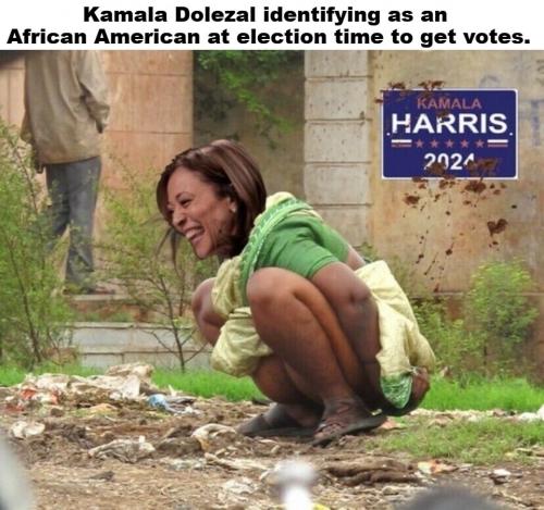 Kamala Dolezal at election time