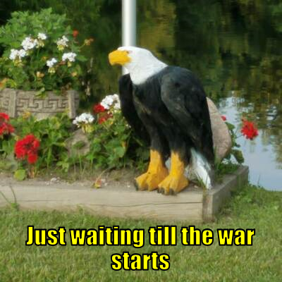 jwftwts