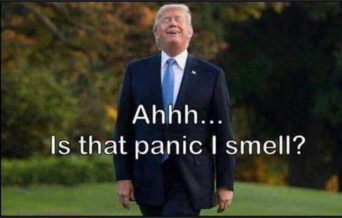 panic