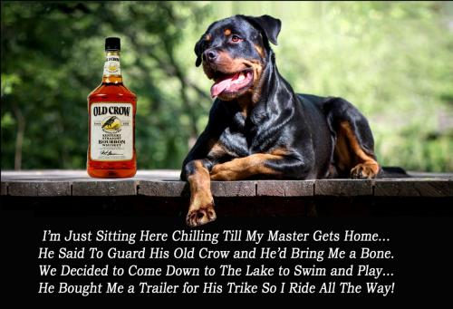 Rottweiler ~It's a Dogs Life~