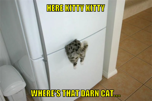 hkkwtdc