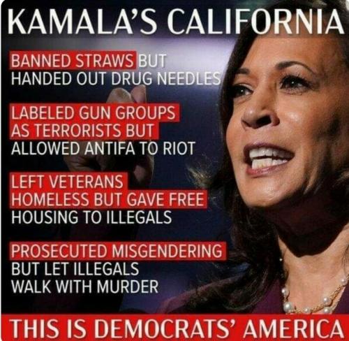 kamala america