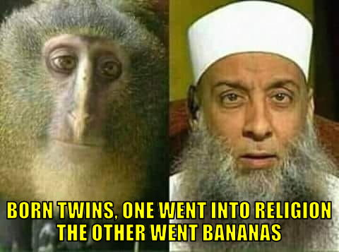 btowitrtwb