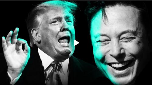 Trump Musk Interview screenshot