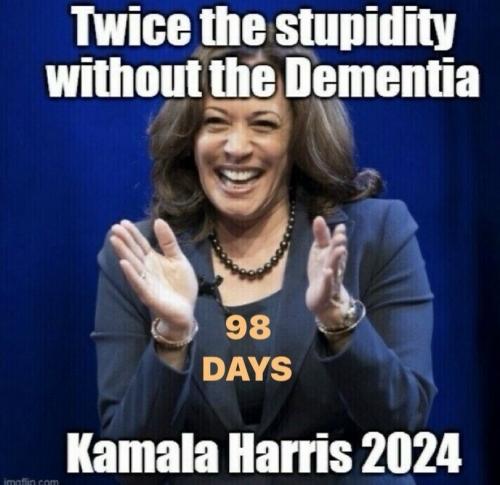 TWICE THE STUPIDITY   TS