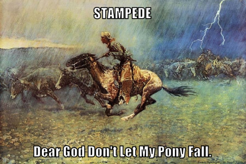 dgdlmpf